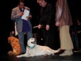 /album/soiree-chiens-guides-21-mai-2013/dscf9034-jpg/